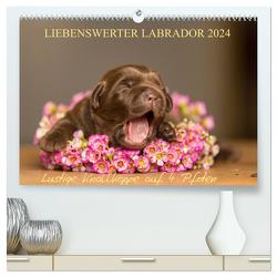 Liebenswerter Labrador 2024 (hochwertiger Premium Wandkalender 2024 DIN A2 quer), Kunstdruck in Hochglanz von Mirsberger,  Annett