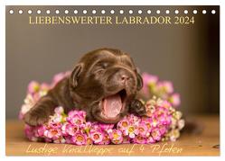 Liebenswerter Labrador 2024 (Tischkalender 2024 DIN A5 quer), CALVENDO Monatskalender von Mirsberger,  Annett