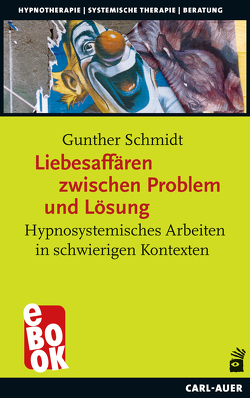 Liebesaffären zwischen Problem und Lösung von Schmidt,  Gunther
