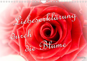 Liebeserklärung durch die Blume (Wandkalender 2023 DIN A4 quer) von Klattis