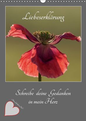 Liebeserklärung – Schreibe deine Gedanken in mein Herz (Wandkalender 2019 DIN A3 hoch) von Schörkhuber,  Johann