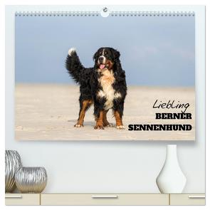 Liebling BERNER SENNENHUND (hochwertiger Premium Wandkalender 2024 DIN A2 quer), Kunstdruck in Hochglanz von Mirsberger www.annettmirsberger.de,  Annett