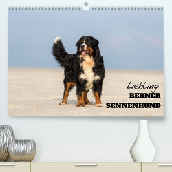 Liebling BERNER SENNENHUND (Premium, hochwertiger DIN A2 Wandkalender 2023, Kunstdruck in Hochglanz) von Mirsberger,  Annett, www.annettmirsberger.de