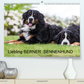 Liebling BERNER SENNENHUND (Premium, hochwertiger DIN A2 Wandkalender 2020, Kunstdruck in Hochglanz) von Mirsberger,  Annett, www.annettmirsberger.de