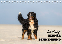 Liebling BERNER SENNENHUND (Tischkalender 2023 DIN A5 quer) von Mirsberger,  Annett, www.annettmirsberger.de