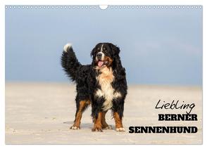 Liebling BERNER SENNENHUND (Wandkalender 2024 DIN A3 quer), CALVENDO Monatskalender von Mirsberger www.annettmirsberger.de,  Annett