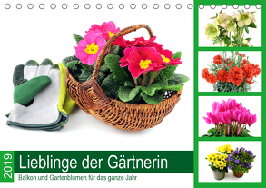 Lieblinge der Gärtnerin – Balkon und Gartenblumen für das ganze Jahr (Tischkalender 2020 DIN A5 quer) von N.,  N.