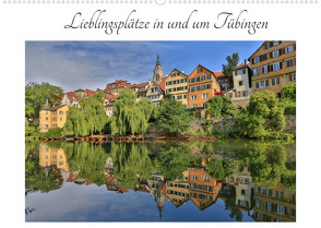 Lieblingsplätze in und um Tübingen (Wandkalender 2022 DIN A2 quer) von Maas,  Christoph