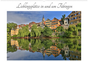 Lieblingsplätze in und um Tübingen (Wandkalender 2023 DIN A2 quer) von Maas,  Christoph