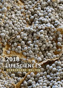 LifeSciences 2018 – Verborgene Welten – Premium Posterkalender für Naturwissenschaftler und Biologen – Format 49,5 x 68,5 cm