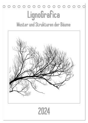 LignoGrafica – Muster und Strukturen der Bäume (Tischkalender 2024 DIN A5 hoch), CALVENDO Monatskalender von Tessarolo,  Franco