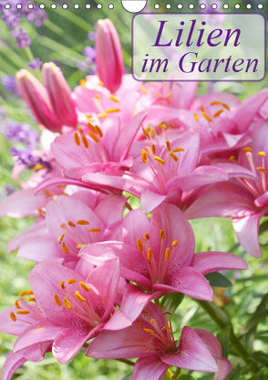Lilien im Garten (Wandkalender 2019 DIN A4 hoch) von Kruse,  Gisela