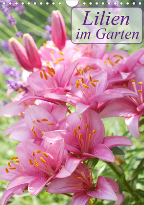 Lilien im Garten (Wandkalender 2020 DIN A4 hoch) von Kruse,  Gisela