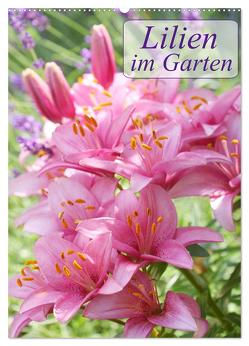 Lilien im Garten (Wandkalender 2024 DIN A2 hoch), CALVENDO Monatskalender von Kruse,  Gisela