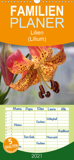 Lilien (Lilium) – Familienplaner hoch (Wandkalender 2021 , 21 cm x 45 cm, hoch) von Lantzsch,  Katrin