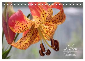 Lilien (Lilium) (Tischkalender 2024 DIN A5 quer), CALVENDO Monatskalender von Lantzsch,  Katrin