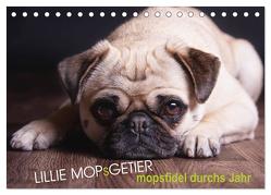 Lillie Mopsgetier – mopsfidel durchs Jahr (Tischkalender 2024 DIN A5 quer), CALVENDO Monatskalender von Raab,  Martina