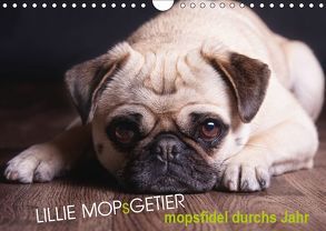 Lillie Mopsgetier – mopsfidel durchs Jahr (Wandkalender 2019 DIN A4 quer) von Raab,  Martina