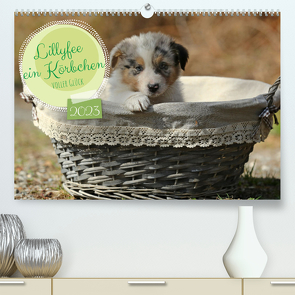 Lillyfee und ein Körbchen voller Glück (Premium, hochwertiger DIN A2 Wandkalender 2023, Kunstdruck in Hochglanz) von Beatrice Müller,  Hundefotografie