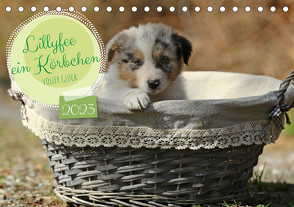 Lillyfee und ein Körbchen voller Glück (Tischkalender 2023 DIN A5 quer) von Beatrice Müller,  Hundefotografie