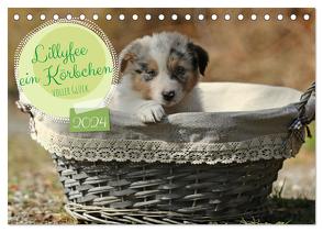 Lillyfee und ein Körbchen voller Glück (Tischkalender 2024 DIN A5 quer), CALVENDO Monatskalender von Beatrice Müller,  Hundefotografie