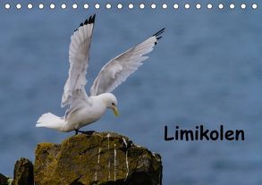 Limikolen (Tischkalender 2018 DIN A5 quer) von Uppena,  Leon