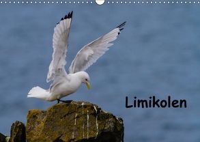 Limikolen (Wandkalender 2018 DIN A3 quer) von Uppena,  Leon