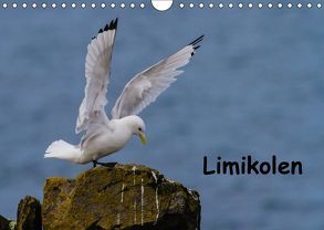 Limikolen (Wandkalender 2018 DIN A4 quer) von Uppena,  Leon