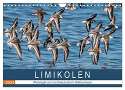 Limikolen – Watvögel am norddeutschen Wattenmeer (Wandkalender 2024 DIN A4 quer), CALVENDO Monatskalender von Wünsche,  Arne