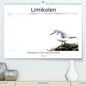 Limikolen – Watvögel an Nord- und Ostseeküste (Premium, hochwertiger DIN A2 Wandkalender 2022, Kunstdruck in Hochglanz) von Martin,  Christof