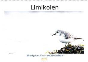 Limikolen – Watvögel an Nord- und Ostseeküste (Wandkalender 2022 DIN A2 quer) von Martin,  Christof