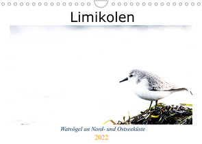 Limikolen – Watvögel an Nord- und Ostseeküste (Wandkalender 2022 DIN A4 quer) von Martin,  Christof