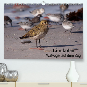 Limikolen Watvögel auf dem Zug (Premium, hochwertiger DIN A2 Wandkalender 2023, Kunstdruck in Hochglanz) von Erlwein,  Winfried