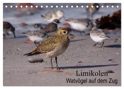 Limikolen Watvögel auf dem Zug (Tischkalender 2024 DIN A5 quer), CALVENDO Monatskalender von Erlwein,  Winfried