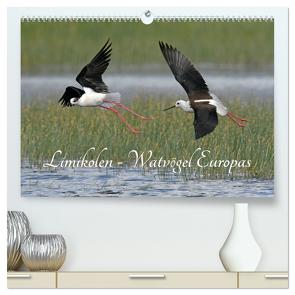 Limikolen – Watvögel Europas (hochwertiger Premium Wandkalender 2024 DIN A2 quer), Kunstdruck in Hochglanz von Trapp,  Benny