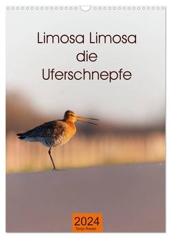 Limosa Limosa die Uferschnepfe (Wandkalender 2024 DIN A3 hoch), CALVENDO Monatskalender von Riedel,  Tanja