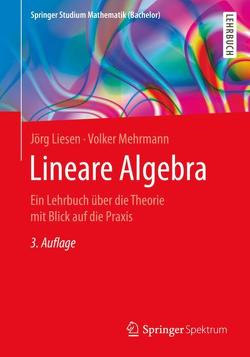 Lineare Algebra von Liesen,  Jörg, Mehrmann,  Volker