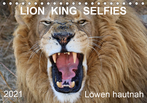 LION KING SELFIES Löwen hautnah (Tischkalender 2021 DIN A5 quer) von Fraatz,  Barbara