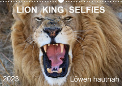 LION KING SELFIES Löwen hautnah (Wandkalender 2023 DIN A3 quer) von Fraatz,  Barbara