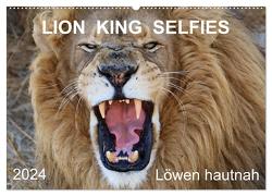 LION KING SELFIES Löwen hautnah (Wandkalender 2024 DIN A2 quer), CALVENDO Monatskalender von Fraatz,  Barbara