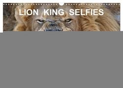 LION KING SELFIES Löwen hautnah (Wandkalender 2024 DIN A3 quer), CALVENDO Monatskalender von Fraatz,  Barbara
