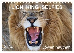LION KING SELFIES Löwen hautnah (Wandkalender 2024 DIN A3 quer), CALVENDO Monatskalender von Fraatz,  Barbara
