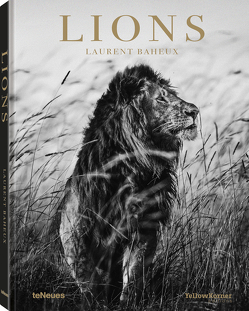 Lions von Baheux,  Laurent