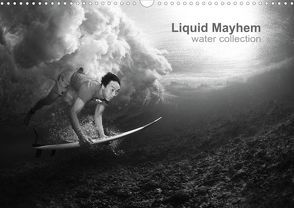 Liquid Mayhem (Posterbuch DIN A3 quer) von Fox,  Andy