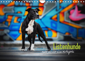 Listenhunde – mehr als nur eine Kategorie (Wandkalender 2023 DIN A4 quer) von Wobith Photography,  Sabrina