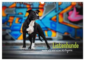 Listenhunde – mehr als nur eine Kategorie (Wandkalender 2024 DIN A3 quer), CALVENDO Monatskalender von Wobith Photography,  Sabrina