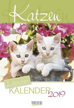 Katzen (2-Wo.) 236719 2019 von Korsch Verlag