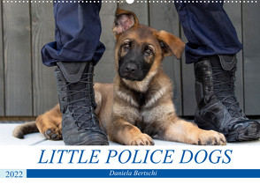 Little Police Dogs (Wandkalender 2022 DIN A2 quer) von Bertschi,  Daniela