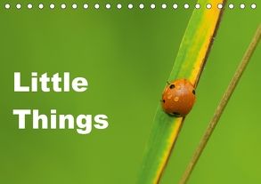 Little Things (Tischkalender 2018 DIN A5 quer) von Tickell,  David