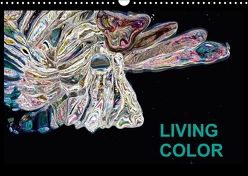 Living Color (Wandkalender 2018 DIN A3 quer) von Wand,  Jörg